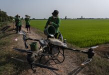 In Vietnam, Farmers Reduce Methane Emissions by Changing How They Grow Rice