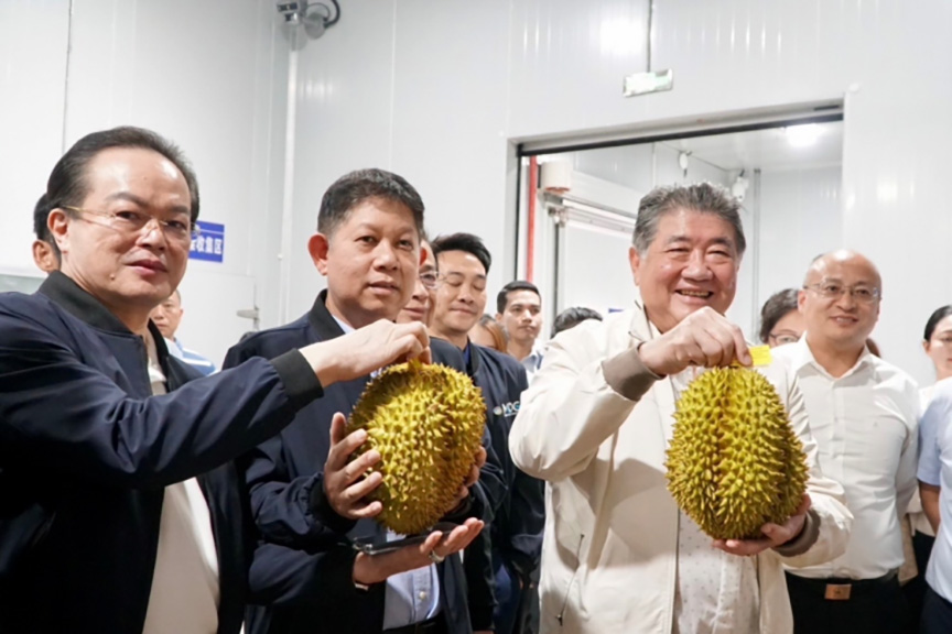 Durian phumtham