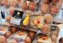 CP Foods Steps Up in Environmental Initiatives Against Plastic Waste