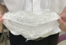 Japanese Team Create Biodegradable Plastic Fit for Industrial Use bioplastic
