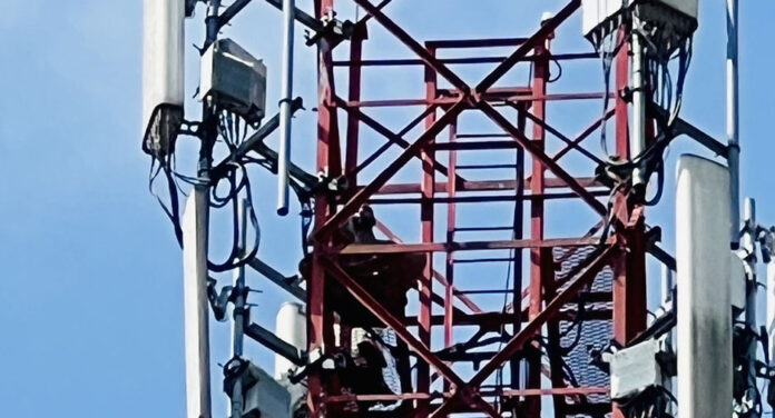 pol jump3 Tower