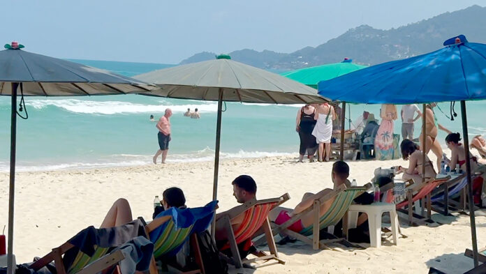 samui2024 tourists