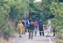 From Witness to Suspect: Thai Man Helps Yakuza Hide Body Parts