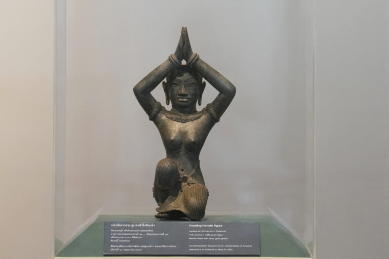 AP24142309469042