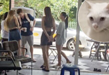 A Russian Couple Witnesses a Phuket Man Horrific Abuse Cat