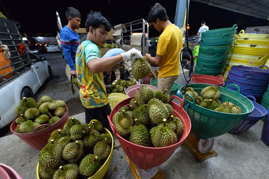 chanthaburi durian3