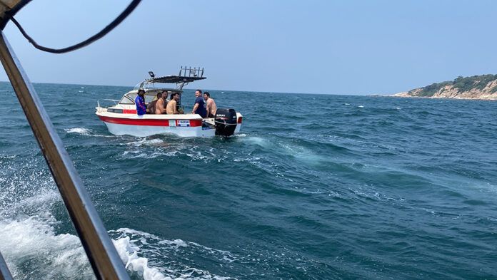 french pattaya2