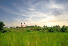 Marriott International Launches JW Garden in Khao Lak to Promote Sustainability