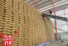 Government Pushes Through Political Drama, Aims to Export 10-year-old Rice rice