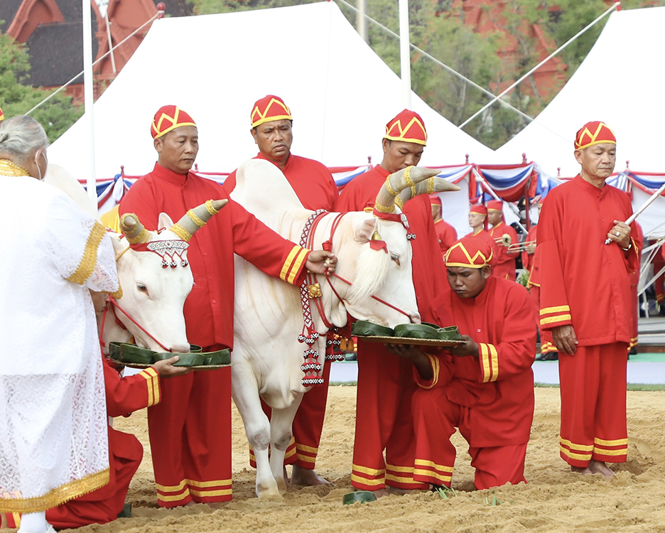 royal plough2