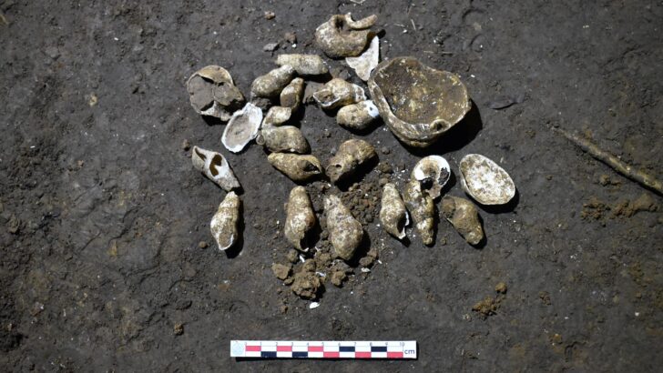 satun archaeo5