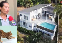 Thai Housekeeper Inherits $2.7million and 3 Cats from French Woman in Koh Samui housekeeper