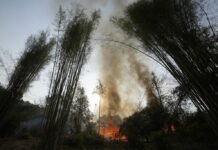 As Thailand Gasps Through Another Haze Season, Researchers Hope a Fire-Charting App Can Help