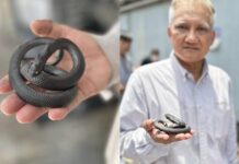 Tragic Chatuchak Pet Market Fire Reveals Heartbreaking of Self-Biting Snakes
