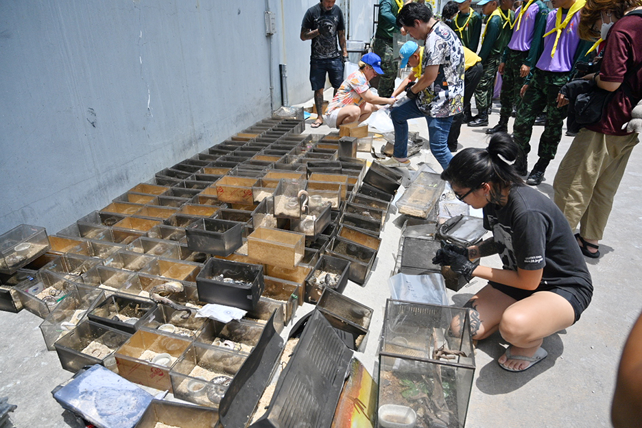 chatuchak fire1