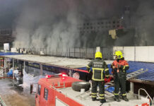 Pets in Chatuchak Market Need Help After Fire Kills Hundreds of Them Chatuchak