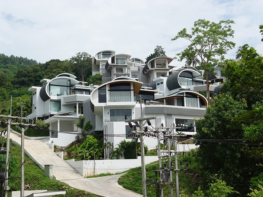 chinese samui22