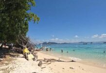 Thailand Vows to Avoid “The Beach” Mistake with Jurassic World 4