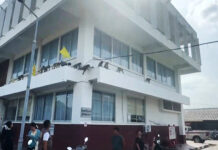 Lopburi Officials Try to Capture All Escaped Monkeys That Stormed Police Station