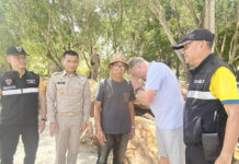 Cyclist’s Encounter with Foreigner’s Dogs Leads to Trat Beach Dispute