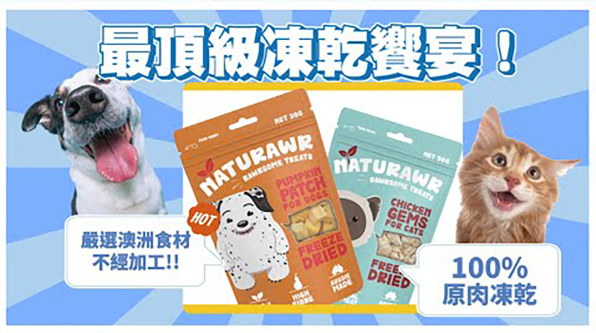Taipei Pet Show 2024 1