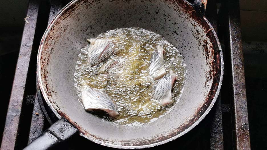 alien fish4