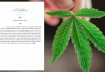 Thai Government Opts for Cannabis Act to End Political Deadlock cannabis