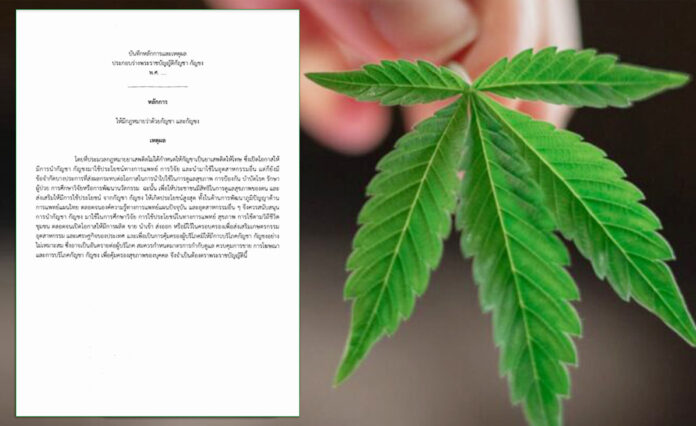 cannabis law cannabis