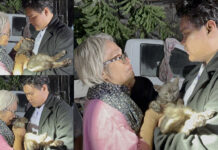 Blaze Takes Lives of 21 Stray Cats from Poor Woman, 5 Survive cats