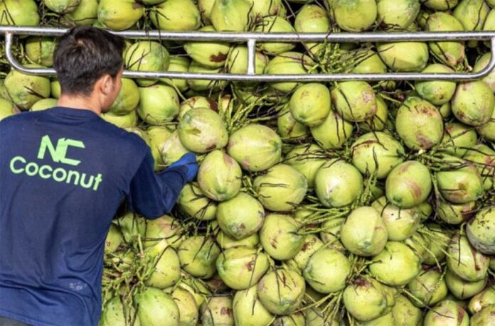 coconut3 coconut