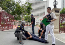 Thai Lupin: Driver Steals Priceless Royal Portraits from CEO Employer Lupin