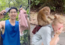 Phuket Police Help Russian Tourist Retrieve Her Items from Monkey Thief monkey