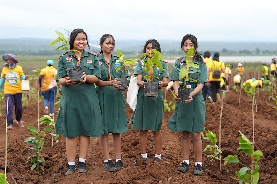 plant tree1
