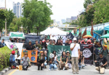 Thai Weed Heats Up: Advocates Against Reclassification, Push for Cannabis Act cannabis