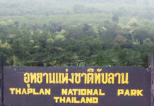 #SaveThapLan: A Reflection of Democratic Values in Forest Conservation