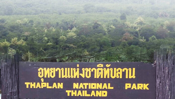 thaplan1