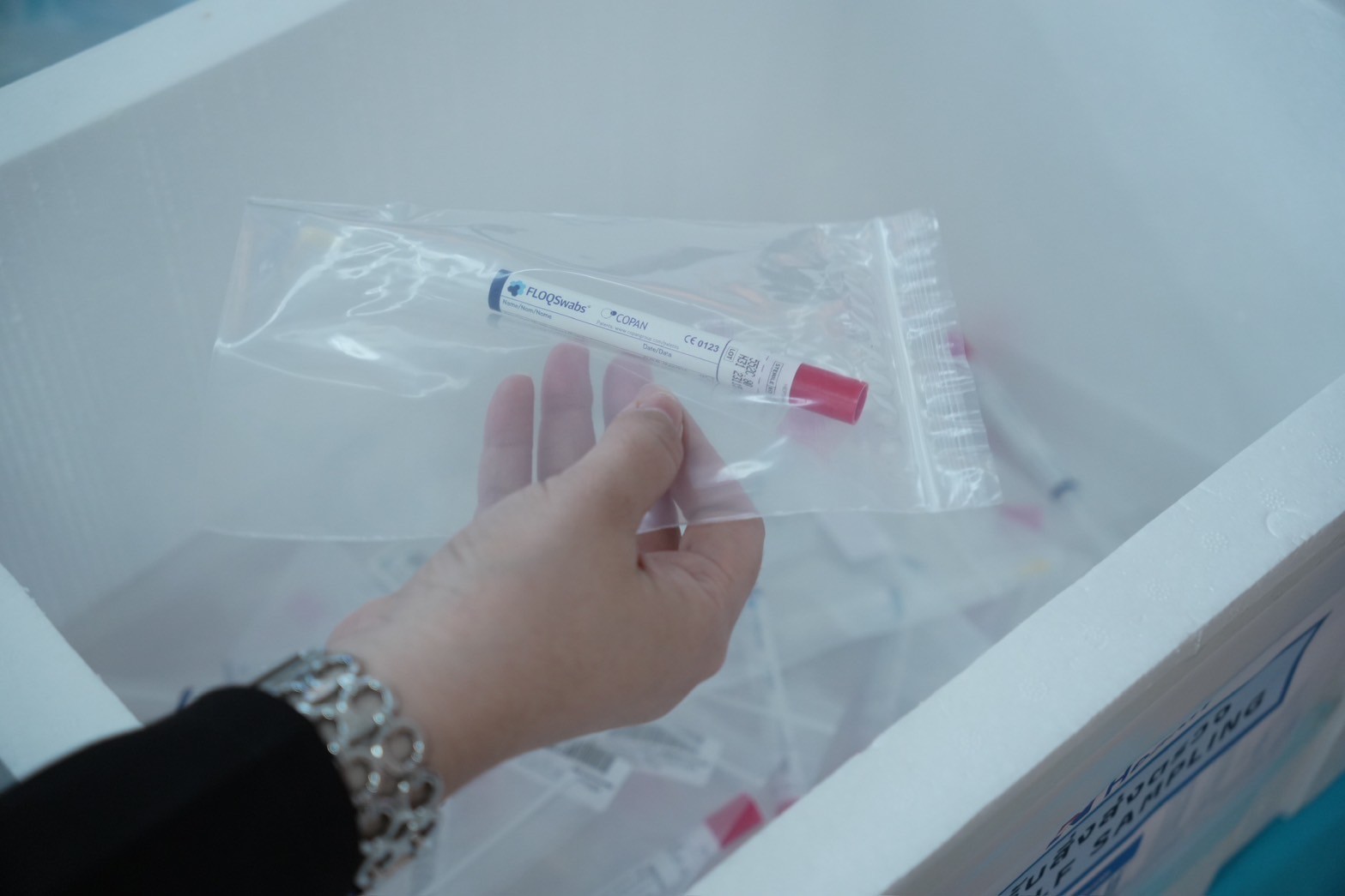 Self collection HPV DNA 3