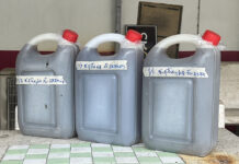 Death Toll Rises in Toxic Herbal Liquor, Dozens Hospitalized in Bangkok liquor