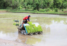 Thailand Needs to Push Agriculture – Stop Being the Detroit of Asia, Says NESDC Chairman agriculture
