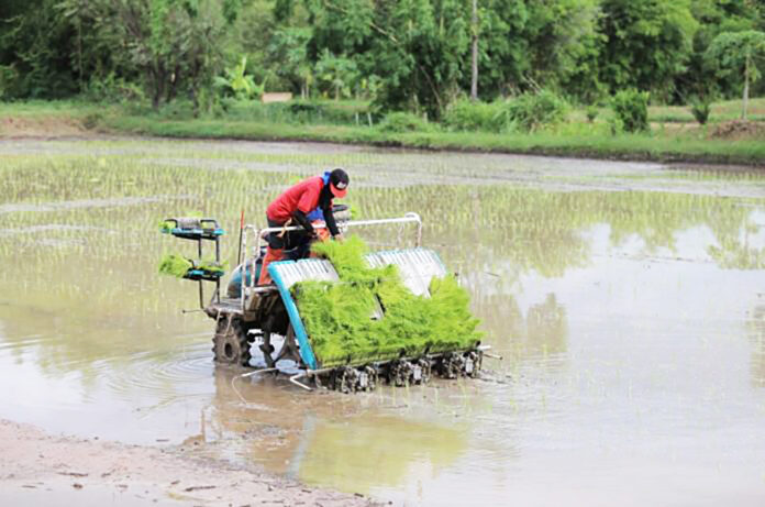 agriculture2 agriculture