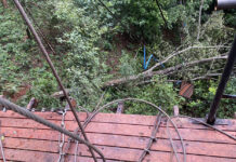 Chinese Couple Hit by Falling Tree on Chiang Mai’s Zipline, Wife Dies zipline