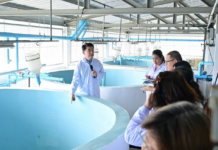 CP Foods Confirms It Did Not Cause Black Chin Tilapia Outbreak