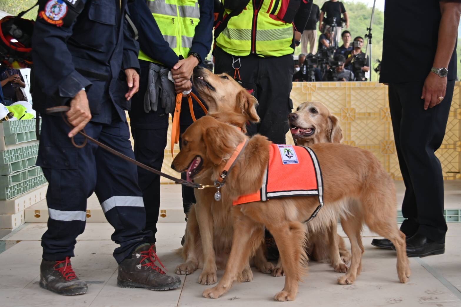 tunnel k9