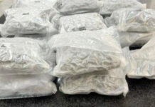 Ex-Arsenal Player Arrested for $800K Cannabis Smuggle from Thailand smuggle