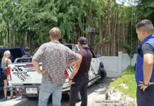 Austrian Nabbed on Koh Phangan for Doing Tour Guide Job Reserved for Thais Austrian