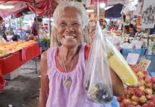 Should Thais Be Elated by 10,000 Baht Cash Handouts?