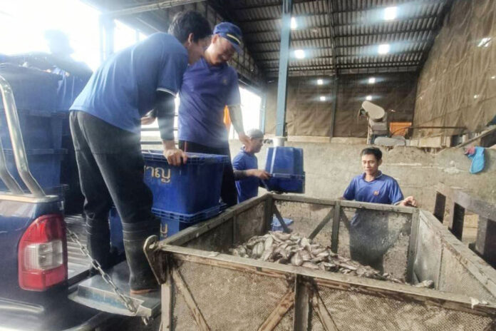 fishmeal