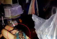 Two-Hour Battle: Thai Woman Fights Off 4-Meter Python Strangling Her