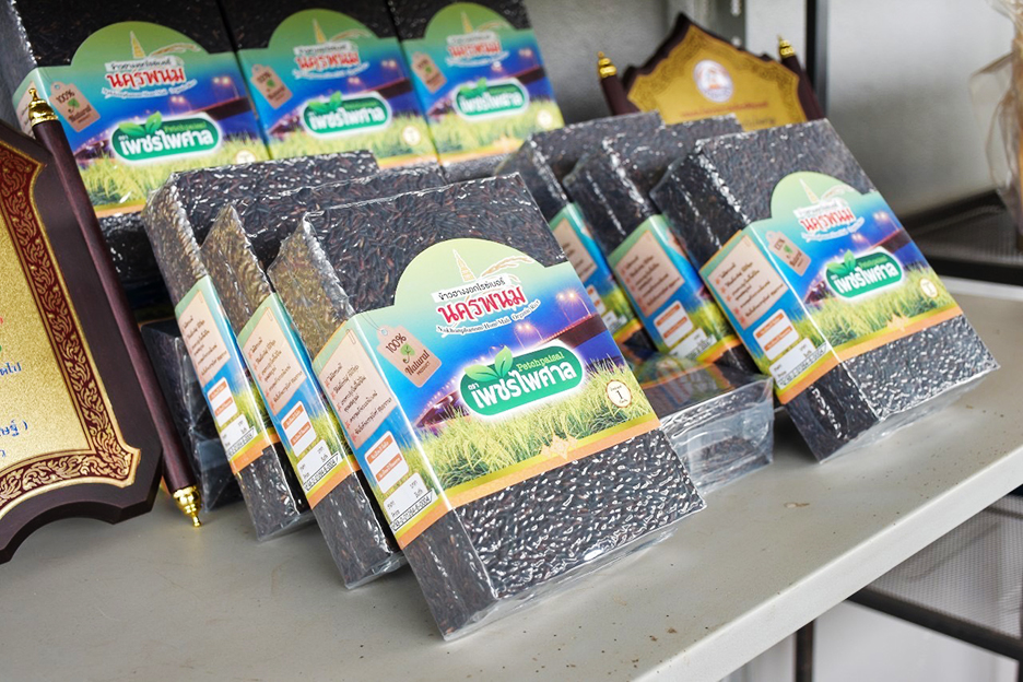 rice nakhon phanom1