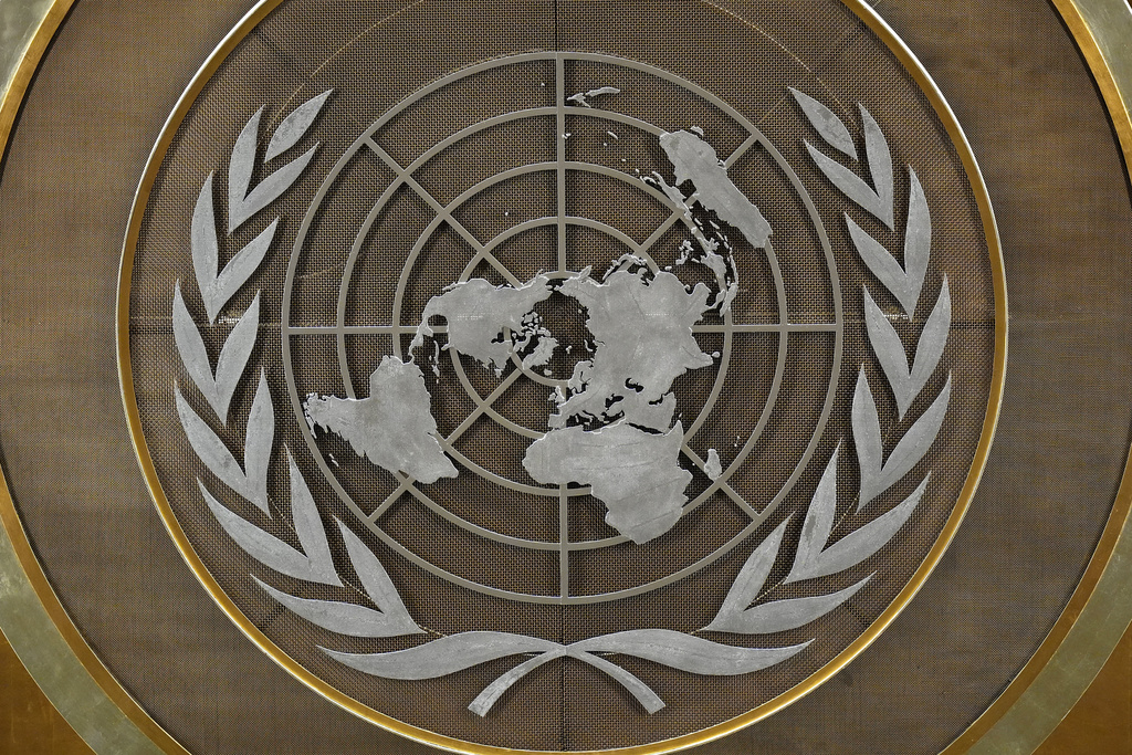 AP24283011292378